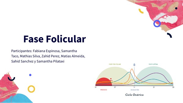La fase folicular trabajo en grupo