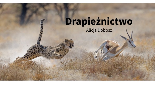 Drapieżnictwo