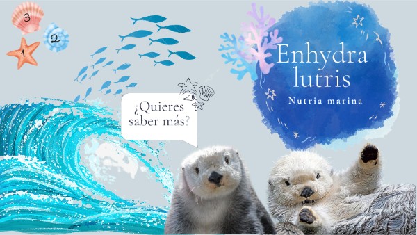 Enhydra Lutris Meaning – Loutre Enhydra Lutris – LKHQT