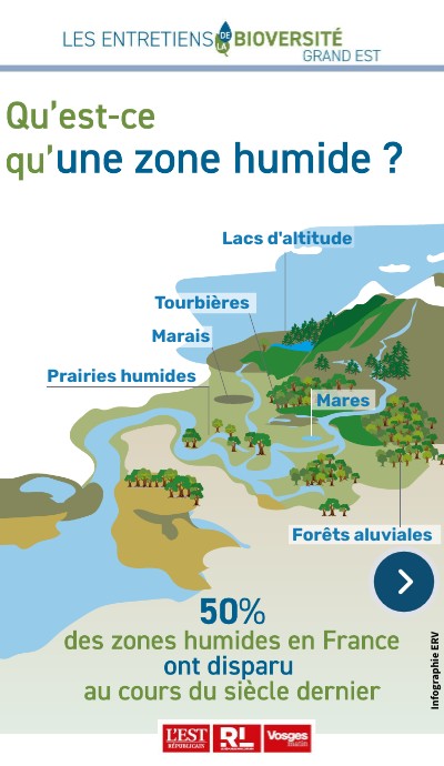 Zones Humides Et Biodiversité _ Fonctions biologiques – ZKRJU