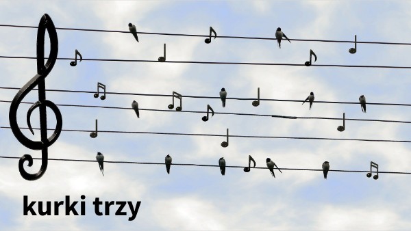 kurki trzy