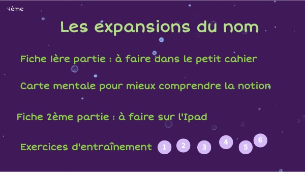 Activité EXPANSIONS DU NOM 4ème