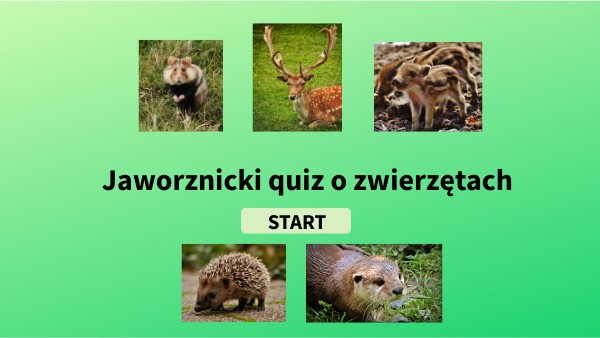 Jaworznicki quiz o zwierzętach