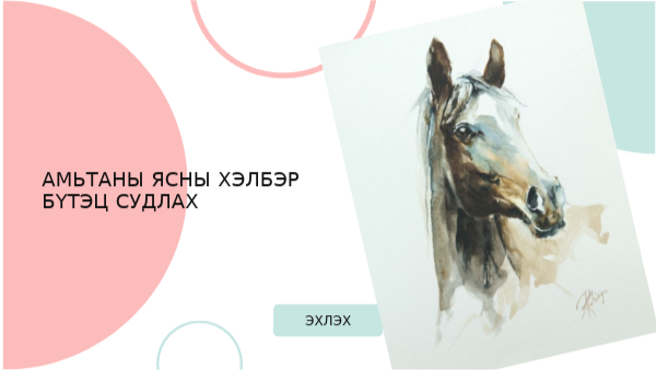 Амьтаны ясны хэлбэр бүтэцийг судлах хар зураг