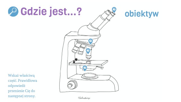 Gdzie jest?... Budowa mikroskopu