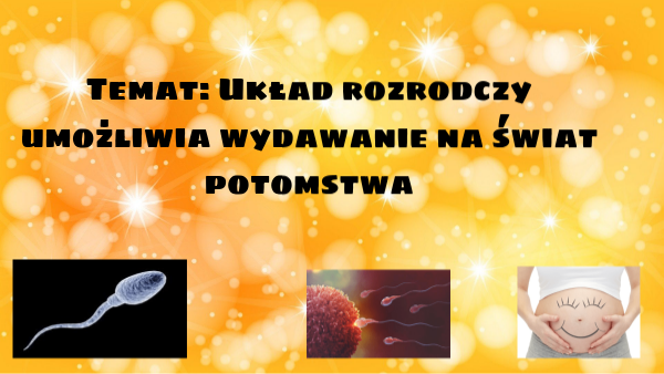 Przyroda 4 Układ rozrodczy umożliwia wydawanie potomstwa