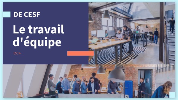 Quel Est Le Rôle De La Cesf – Fiche De Poste Cesf – GXRAJM