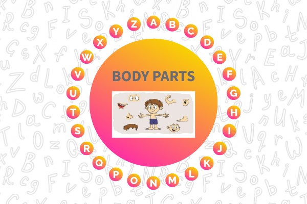 Genially Body Parts : BODY PARTS – CGNPEB