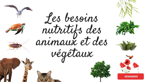 Nutrition des êtres vivants
