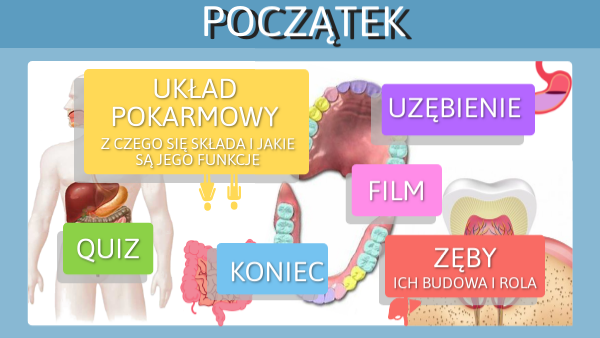 układ pokarmowy