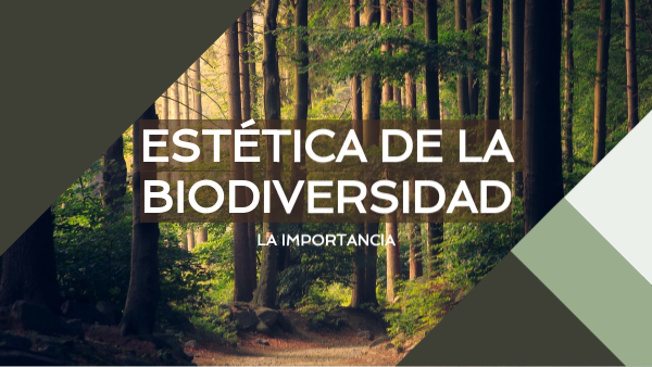Importancia del valor estético en la Biodiversidad
