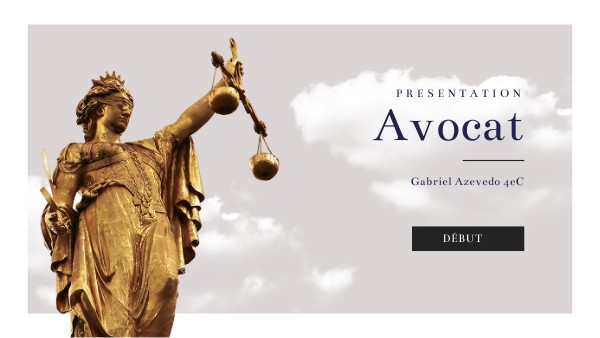 Avocat présentation