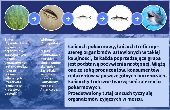 Protist Z Pecherzami Powietrza Wystepujace W Morzu Baltyckim - łancuch pokarmowy /morze