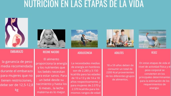 NUTRICION EN LAS ETAPAS DE LA VIDA