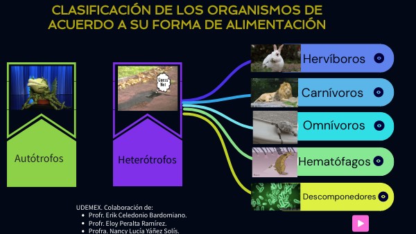 Clasificación de los organismos de acuerdo a su forma de alimentación