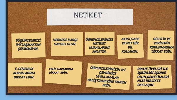 NETİKET