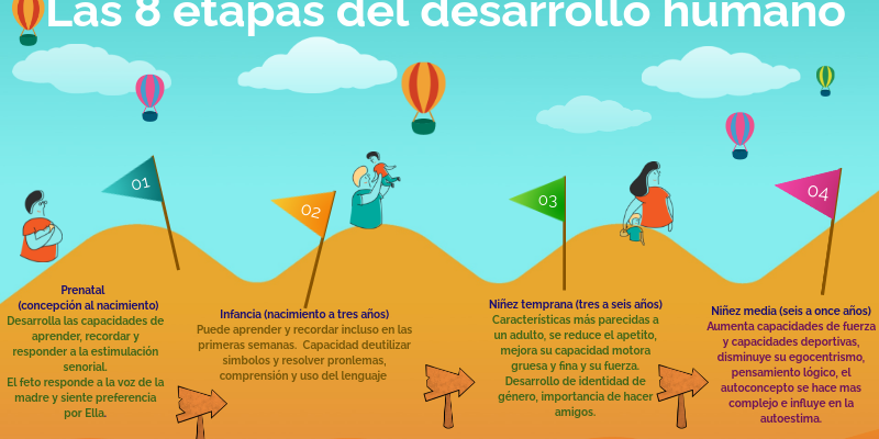 Las 8 etapas del desarrollo humano.
