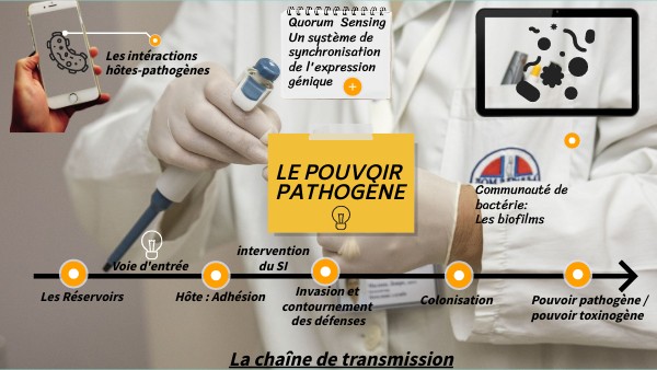 Le Pouvoir Pathogène – Les Agents Pathogènes – KJYGX