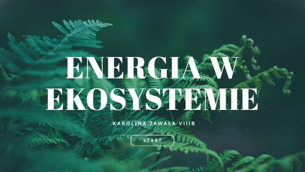 Określ Rolę Destruentów W Ekosystemie ENERGIA W EKOSYSTEMIE