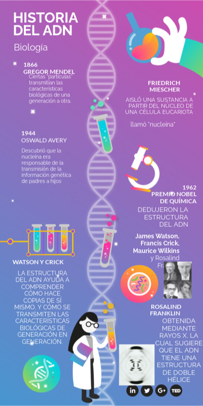 Origen Del Adn – ¿Qué es el ADN y cómo se compone? – WDDC
