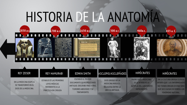 HISTORIA DE LA ANATOMÍA