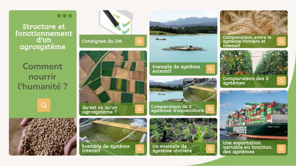 Structure d'un agrosystème