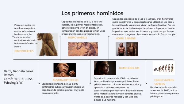 Loa primeros homínidos