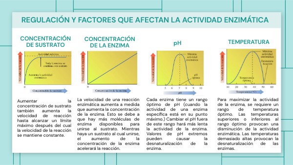 Factores Que Influyen En La Actividad Enzimatica view.genial.ly