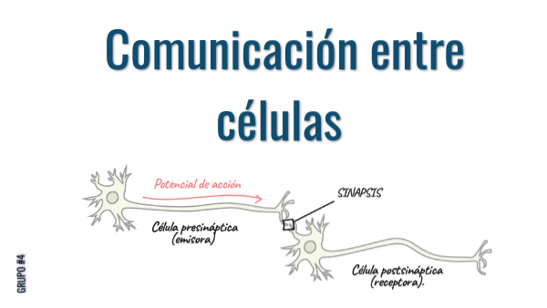 Comunicación entre Células