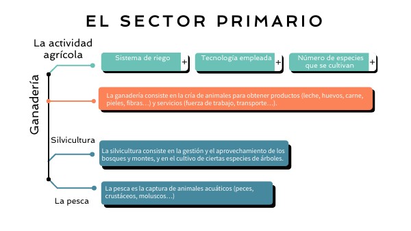 Sector primario