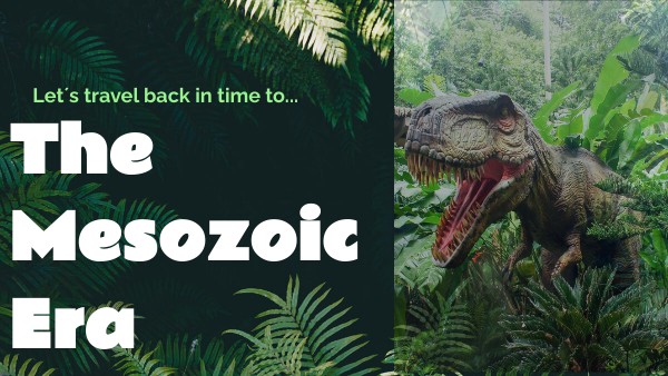 The Mesozoic Era