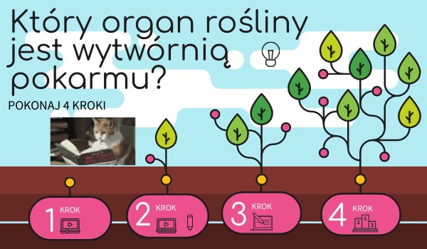 LIŚĆ