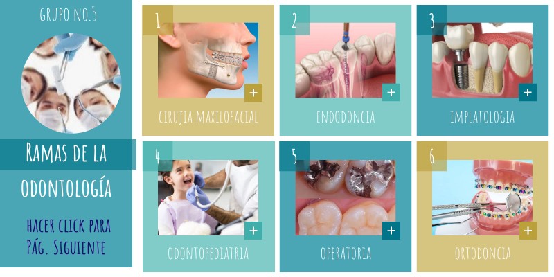 Disciplinas Que Se Relacionan Con La Odontologia