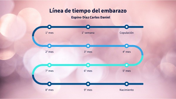Línea de tiempo del embarazo
