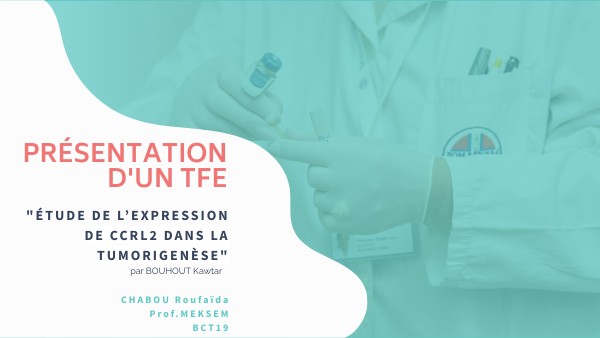 Page De Garde Tfe PRESENTATION TFE