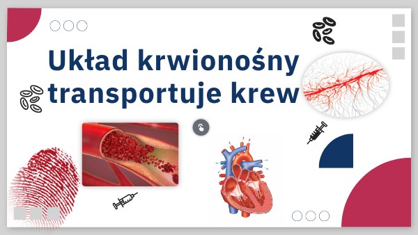 Układ krwionośny