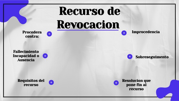 Recurso de Revocacion