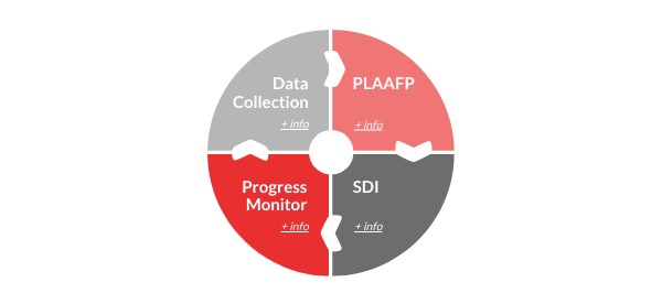 Development of SDI