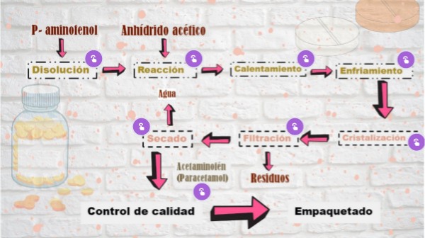 Diagrama de bloque - Paracetamol