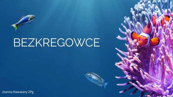 Bezkregowce