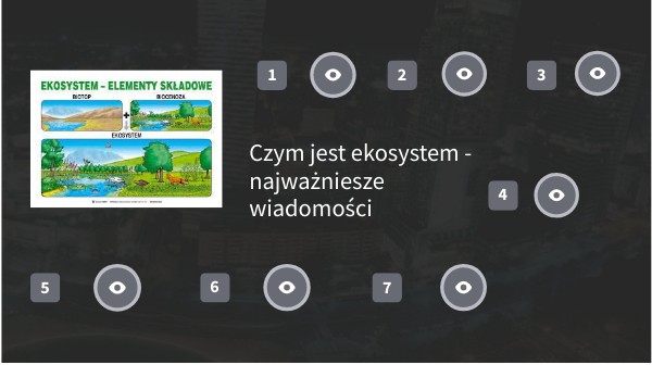 Ekosystemy