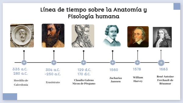 LÍNEA DEL TIEMPO ANATOMÍA Y FISIOLOGÍA PUCE
