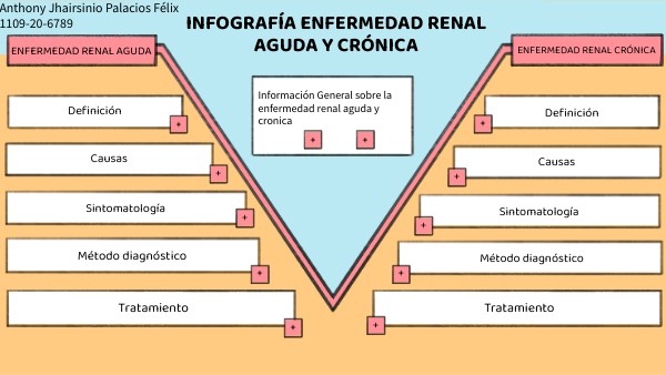 Infografía Enfermedad Renal aguda y crónica