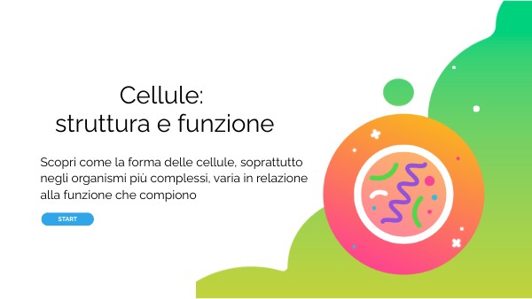Cellule struttura e funzione