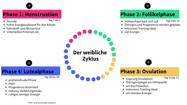 4 Phasen Des Weiblichen Zyklus Stimmung view.genial.ly