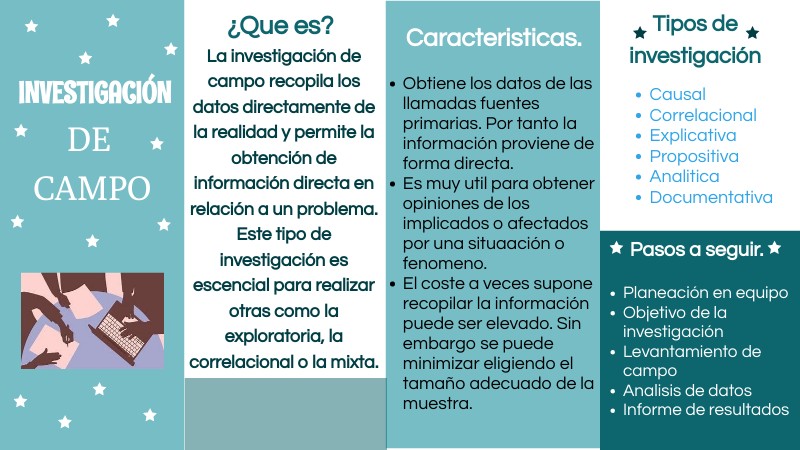 Investigación de campo.