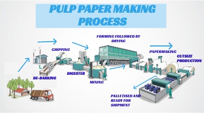 Pulp Paper making process