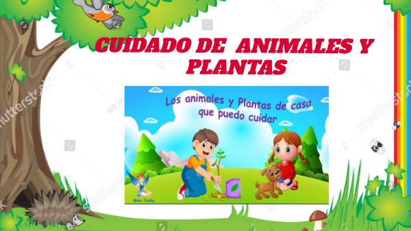 CUIDADO DE PLANTAS Y ANIMALES-4