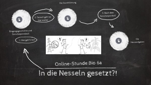 In die Nesseln gesetzt - Start der Lernaugabe