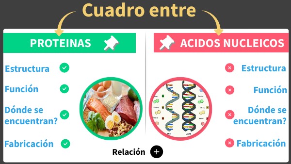 Proteinas y Acidos Nucleicos